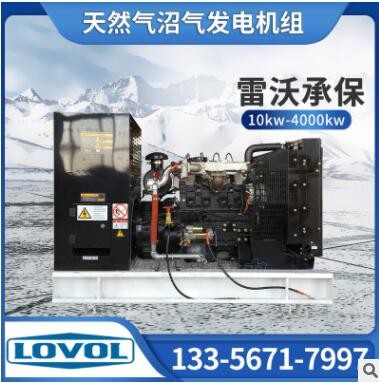 伊达能雷沃动力30kw养猪场废水燃气发电机组图2