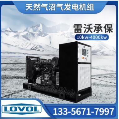 伊达能雷沃动力30kw养猪场废水燃气发电机组图3