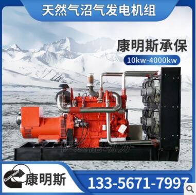 康明斯250kw300千瓦400kw500kw垃圾发电机组热电联产 燃气发电机图2