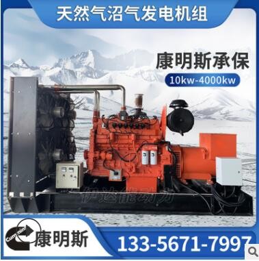 康明斯250kw300千瓦400kw500kw垃圾发电机组热电联产 燃气发电机图3