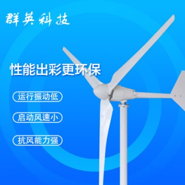 厂家主推L2000W风光互补系统用民用家庭用风力发电机图1