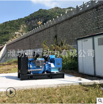 潍柴电力WPG68.5B9柴油发电机组 低噪音50KW全铜芯发电机图1